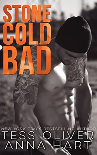 Stone Cold Bad Rezension – lohnt sich das Buch?